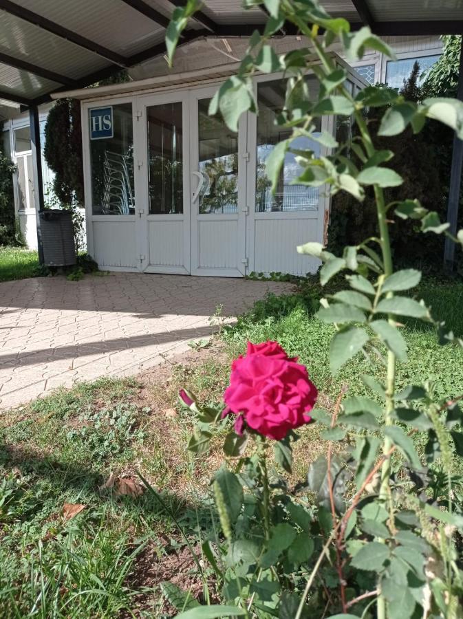 Hostal Brin Монреал дел Кампо Екстериор снимка